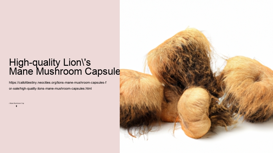 High-quality Lion's Mane Mushroom Capsules