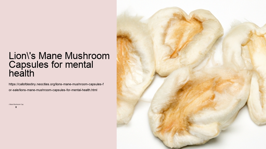 Lion's Mane Mushroom Capsules for mental health