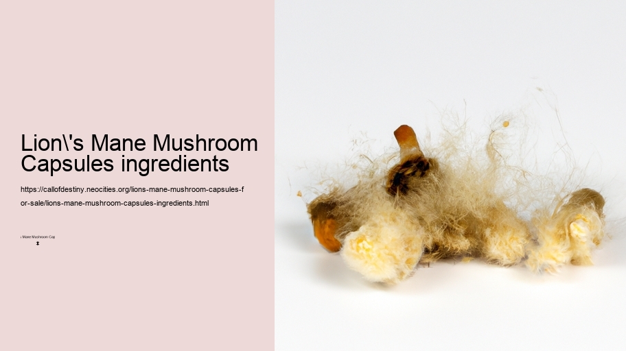 Lion's Mane Mushroom Capsules ingredients