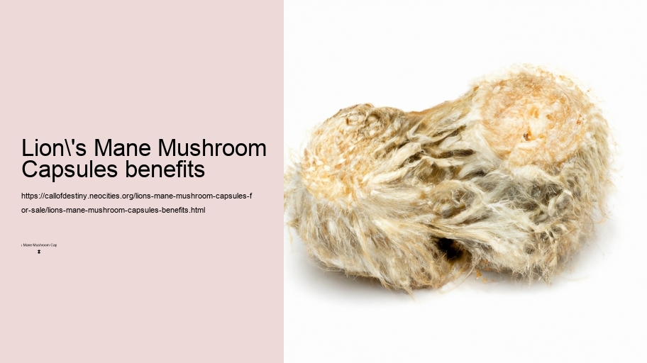 Lion's Mane Mushroom Capsules benefits