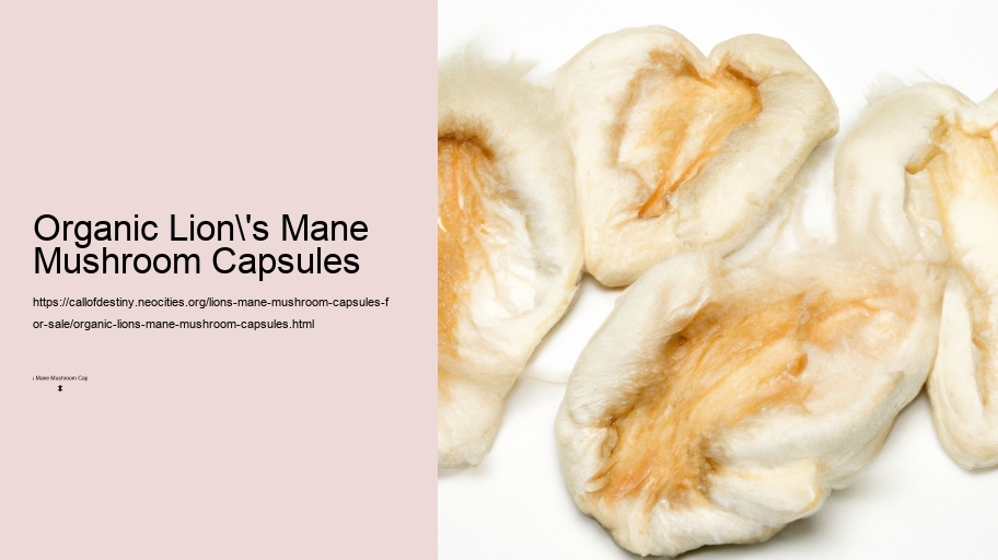 Organic Lion's Mane Mushroom Capsules