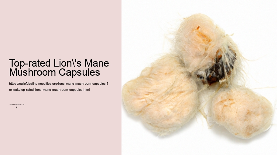 Top-rated Lion's Mane Mushroom Capsules